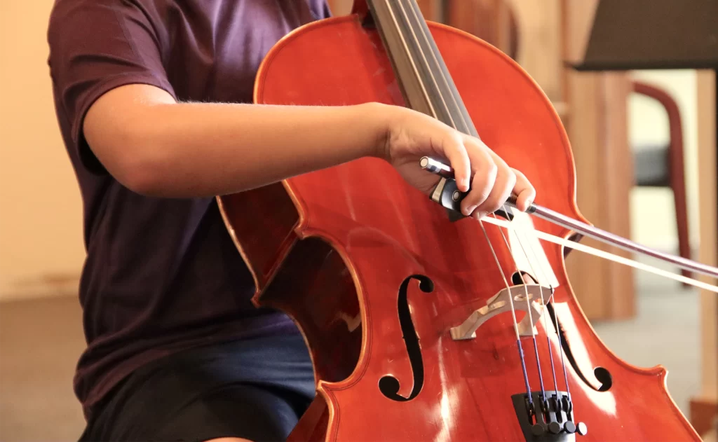 cours de violoncelle à domicile