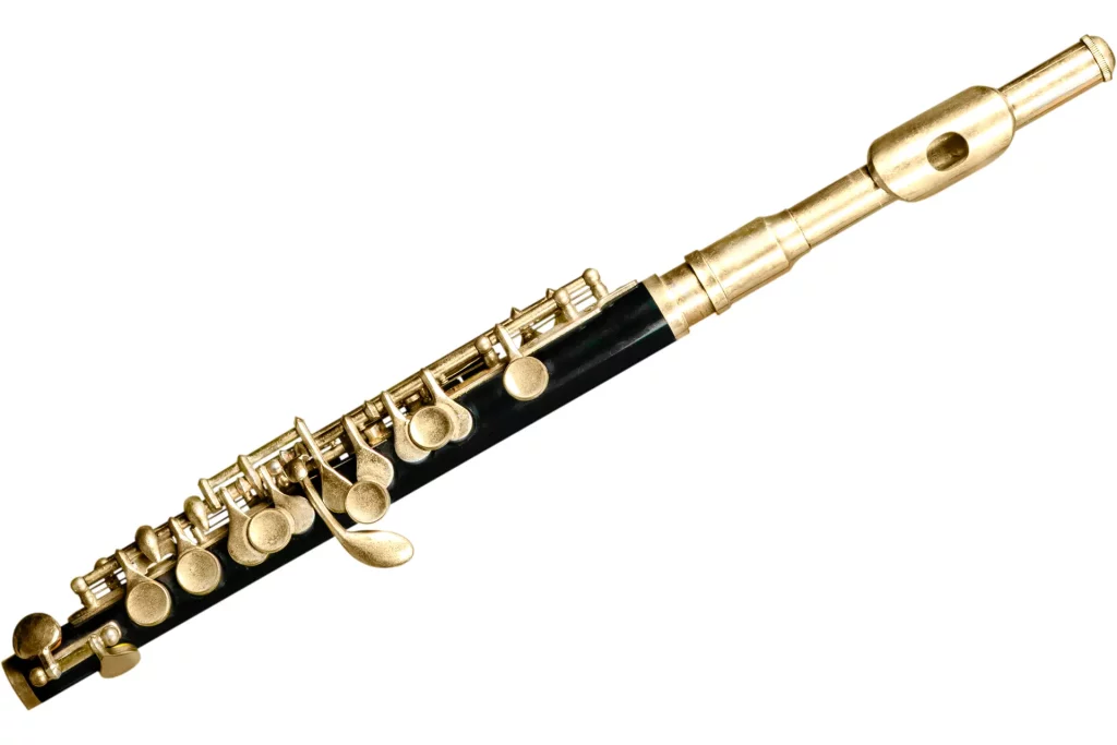 Flûte traversière, instrument de musique