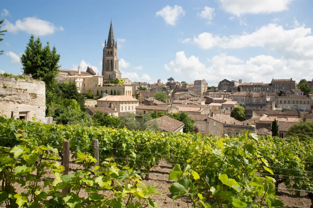 photo de champs de vignes Saint Emilion Bordeaux