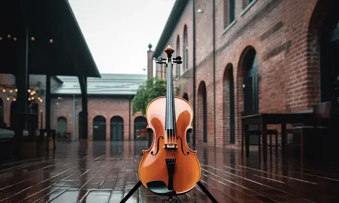 Cours de violon le Nord